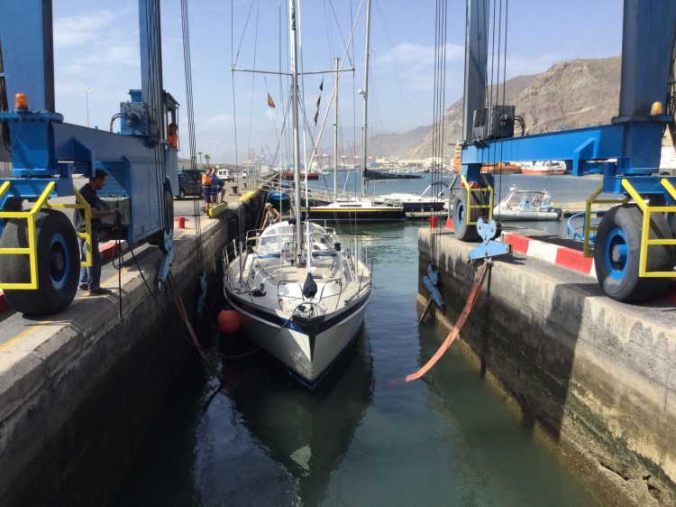 11 Saphir Santa Cruz Scal